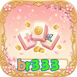 br333